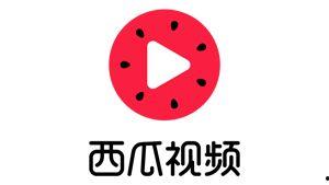 旺仔娛樂吃瓜視頻大全,揭秘吃瓜視頻大全，帶你領(lǐng)略娛樂圈幕后風(fēng)云