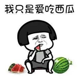 娛樂圈這么多瓜怎么吃,教你如何品鑒這場視覺盛宴